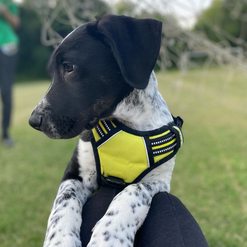 Hey there🤠! - Picture 2 of 5